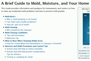 Guide to Mold Moisture and Your Home Image